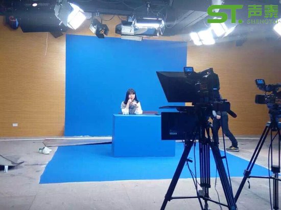 学校演播厅环保吸音板装修效果图(图2)