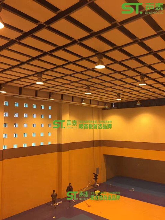 西宁学校体育馆墙面木质吸音板(图1) 西宁学校体育馆墙面木质吸音板(图1)