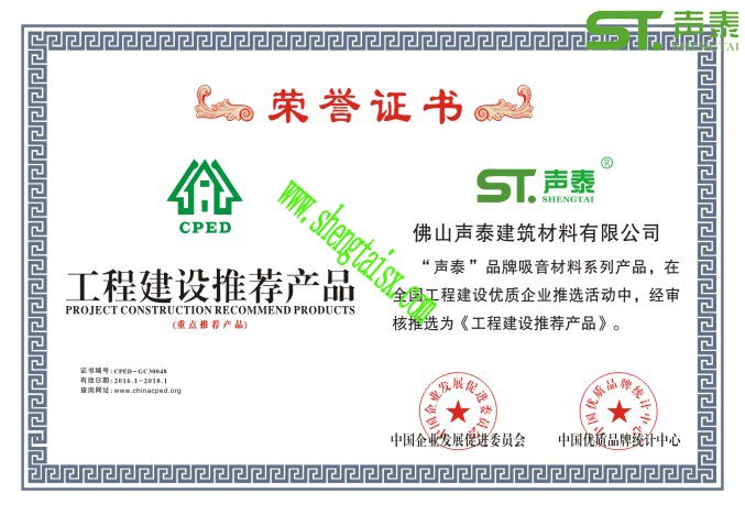 国内声学行业十强品牌厂家(声泰科技)(图2) 国内声学行业十强品牌厂家(声泰科技)(图2)