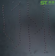 孔木吸音系列：新型210cc大资本