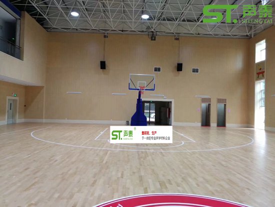文体中心天花悬挂空间吸声体(图5) 文体中心天花悬挂空间吸声体(图5)