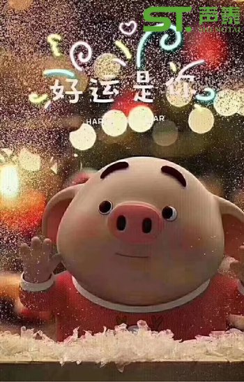 声泰(佛山）全体员工恭祝大家2019新春快乐(图5)