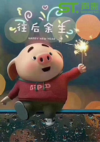 声泰(佛山）全体员工恭祝大家2019新春快乐(图6)