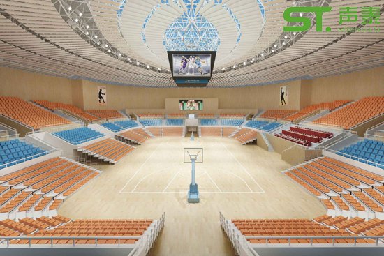 体育场馆空间吸声体工程案例(图4)