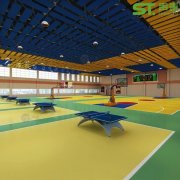 江西宜春文化体育艺术中心工程案例